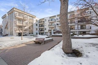 Main Photo: 231 723 57 Avenue SW in Calgary: Windsor Park Apartment for sale : MLS®# A2115056