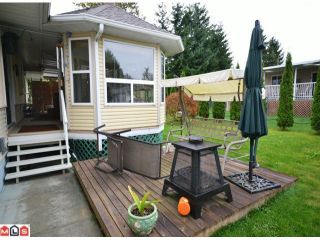 Photo 8: 31792 OLD YALE RD in ABBOTSFORD: House for rent (Abbotsford) 
