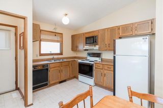 Photo 11: 15 Cambie Road in Winnipeg: Lakeside Meadows Residential for sale (3K)  : MLS®# 202018420