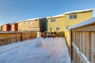 Photo 19: 37 Auburn Meadows Link SE in Calgary: Auburn Bay Semi Detached (Half Duplex) for sale : MLS®# A2011753