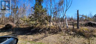 Photo 15: MacDonald's Road in Union Road: Vacant Land for sale : MLS®# 202309197