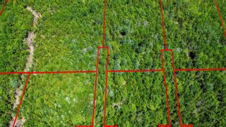Photo 5: Lot 8 Old Renfrew Road in Upper Rawdon: 105-East Hants/Colchester West Vacant Land for sale (Halifax-Dartmouth)  : MLS®# 202306243