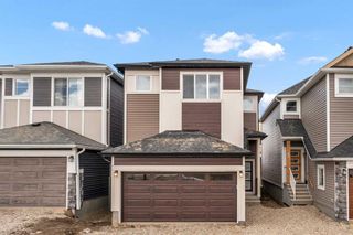 Photo 1: 32 Homestead Manor NE in Calgary: C-686 Detached for sale : MLS®# A2121830