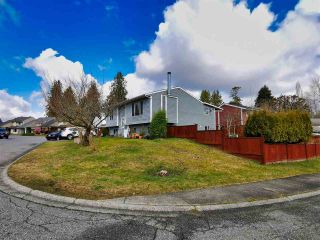 Photo 4: 19849 53A Avenue in Langley: Langley City House for sale : MLS®# R2544067