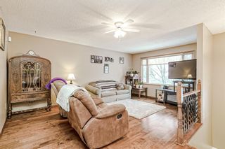 Photo 3: 3240 Doverthorn Way SE in Calgary: Dover Detached for sale : MLS®# A2021642