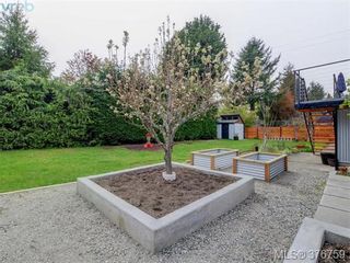Photo 19: 4419 Chartwell Dr in VICTORIA: SE Gordon Head House for sale (Saanich East)  : MLS®# 756403