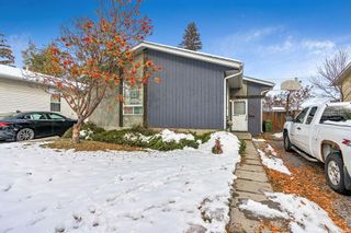 Photo 17: 863 Whitehill Way NE in Calgary: Whitehorn Detached for sale : MLS®# A2008281
