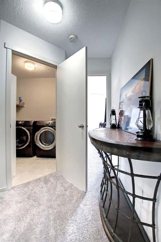 Photo 39: 213 Copperstone Cove SE in Calgary: Copperfield Row/Townhouse for sale : MLS®# A1210012