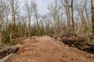 Photo 4: Lot N5 Nature Haven Road in Lake Paul: Kings County Vacant Land for sale (Annapolis Valley)  : MLS®# 202207660