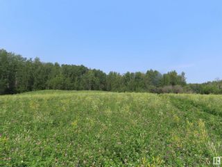 Photo 6: 55209 Range Road 35: Rural Lac Ste. Anne County Vacant Lot/Land for sale : MLS®# E4348716