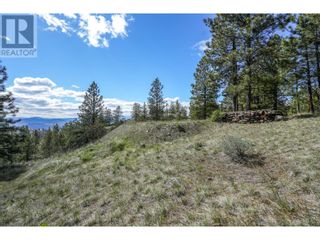 Photo 22: 222 Grizzly Place in Osoyoos: Vacant Land for sale : MLS®# 10310334