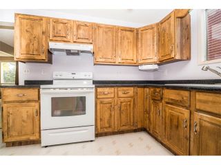 Photo 11: 1240 MEADOWBROOK Drive SE: Airdrie House for sale : MLS®# C4031774