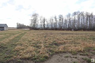 Photo 8: 49341 Highway 39: Rural Leduc County Vacant Lot/Land for sale : MLS®# E4331566