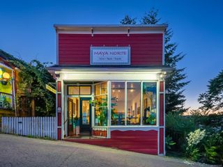Photo 1: 18 Roberts St in Ladysmith: Du Ladysmith Retail for sale (Duncan)  : MLS®# 917002