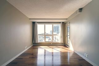 Photo 15: 906 8710 Horton Road SW in Calgary: Haysboro Apartment for sale : MLS®# A1256272
