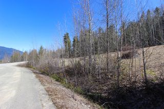 Photo 6: Lot 11 Ivy Road: Eagle Bay Vacant Land for sale (South Shuswap)  : MLS®# 10229941