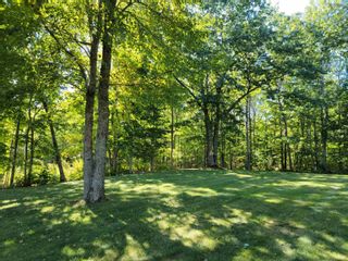 Photo 30: 12 Dexter Court in Mount William: 108-Rural Pictou County Residential for sale (Northern Region)  : MLS®# 202222726