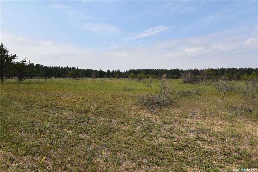 Main Photo: Lot 1 Cunningham Drive in Torch River: Lot/Land for sale (Torch River Rm No. 488)  : MLS®# SK938788