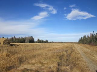 Photo 2: NE 13-54 Range Road 130: Niton Junction Rural Land for sale (Edson)  : MLS®# 32591
