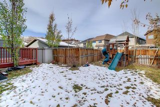 Photo 44: 186 Chaparral Valley Square SE in Calgary: Chaparral Semi Detached (Half Duplex) for sale : MLS®# A2009371