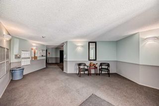 Photo 33: 118 20 Dover Point SE in Calgary: Dover Apartment for sale : MLS®# A2124249