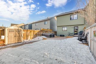 Photo 35: 99 Walden Terrace SE in Calgary: Walden Semi Detached (Half Duplex) for sale : MLS®# A2019284