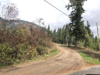 Photo 29: 394 Old Sicamous Road, in Grindrod: Agriculture for sale : MLS®# 10242068