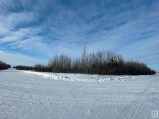 Photo 19: TWP RD 613A RGE RD 234: Rural Westlock County Rural Land/Vacant Lot for sale : MLS®# E4276161