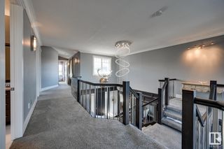 Photo 19: 3317 CAMERON HEIGHTS Landing in Edmonton: Zone 20 House for sale : MLS®# E4329052