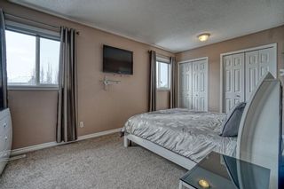 Photo 15: 239 Bridlewood Avenue SW in Calgary: Bridlewood Detached for sale : MLS®# A1181898