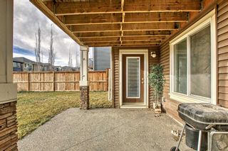 Photo 42: 429 Nolan Hill Boulevard NW in Calgary: Nolan Hill Detached for sale : MLS®# A2093146