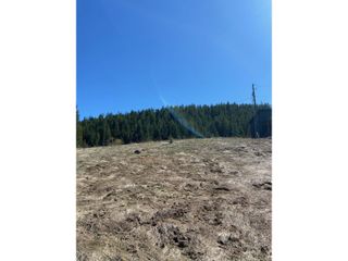 Photo 4: 201 JOLIFFE WAY in Rossland: Vacant Land for sale : MLS®# 2475917