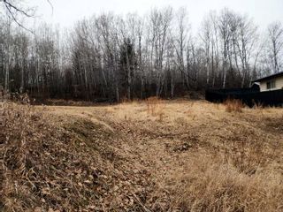Photo 2: 4910 59 Street in Athabasca: Athabasca Town Residential Land for sale : MLS®# A2119596