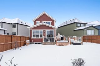 Photo 31: 208 Masters Crescent SE in Calgary: Mahogany Detached for sale : MLS®# A1170105