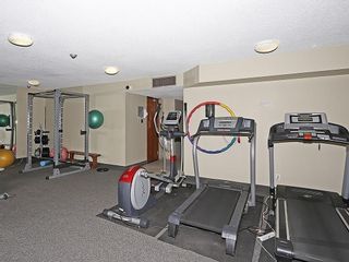 Photo 16: 406 30 Mchugh Court NE in Calgary: Mayland Heights Apartment for sale : MLS®# A2126052