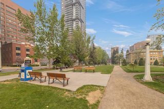 Photo 47: 508 310 12 Avenue SW in Calgary: Beltline Apartment for sale : MLS®# A2055236