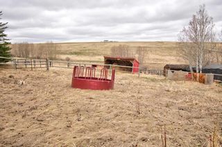 Photo 17: 281251 Range Road 31 in Rural Rocky View County: Rural Rocky View MD Detached for sale : MLS®# A2126750
