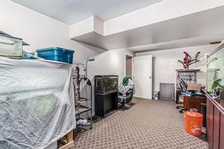 Photo 33: 205 Pineset Place NE in Calgary: Pineridge Semi Detached (Half Duplex) for sale : MLS®# A2052172