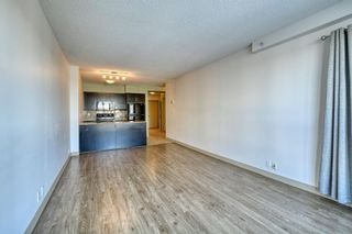 Photo 25: 1013 8880 Horton Road SW in Calgary: Haysboro Apartment for sale : MLS®# A1171744