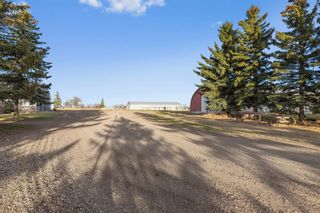 Photo 30: 175003 RANGE ROAD 241: Rural Vulcan County Detached for sale : MLS®# A1098192