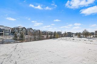Photo 38: 117 Cranbrook Point SE in Calgary: Cranston Detached for sale : MLS®# A2121052