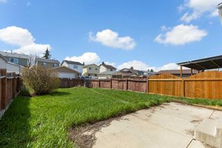 Photo 46: 120 Martinbrook Road NE in Calgary: Martindale Detached for sale : MLS®# A2130953