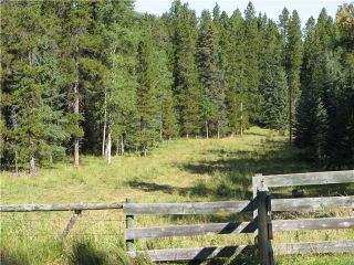 Photo 6: WEST OF BOTTREL in COCHRANE: Rural Rocky View MD Rural Land for sale : MLS®# C3492220
