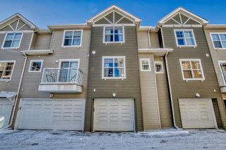 Photo 46: 169 Elgin Gardens SE in Calgary: McKenzie Towne Row/Townhouse for sale : MLS®# A2022223