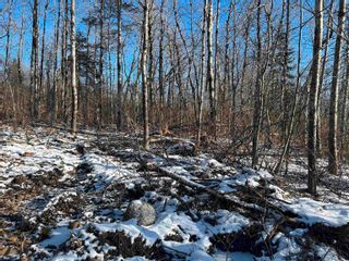 Photo 9: Lot K1 Greenfield Road in Greenfield: Kings County Vacant Land for sale (Annapolis Valley)  : MLS®# 202400528