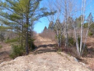 Photo 4: Lot HS-7C #14 Highway in Upper Vaughan: 403-Hants County Vacant Land for sale (Annapolis Valley)  : MLS®# 202005402