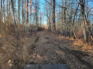 Photo 10: 51313 Rge Road 261: Rural Parkland County Rural Land/Vacant Lot for sale : MLS®# E4269500