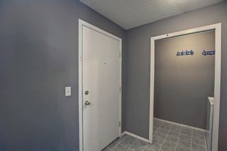 Photo 21: 4219 4975 130 Avenue SE in Calgary: McKenzie Towne Apartment for sale : MLS®# A1234393