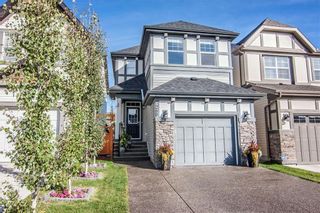 Photo 1: 268 CHAPARRAL VALLEY Mews SE in Calgary: Chaparral Detached for sale : MLS®# C4208291