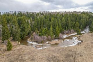 Photo 32: 64049 (A&B) Highway 54: Rural Clearwater County Agriculture for sale : MLS®# A1209840